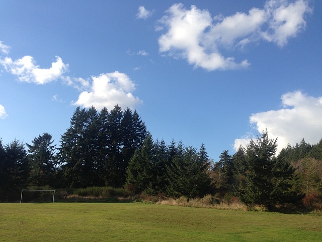 都需要极高