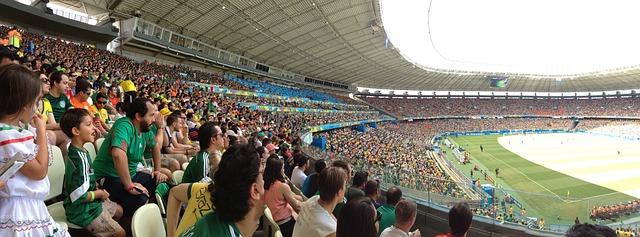 米自由泳中