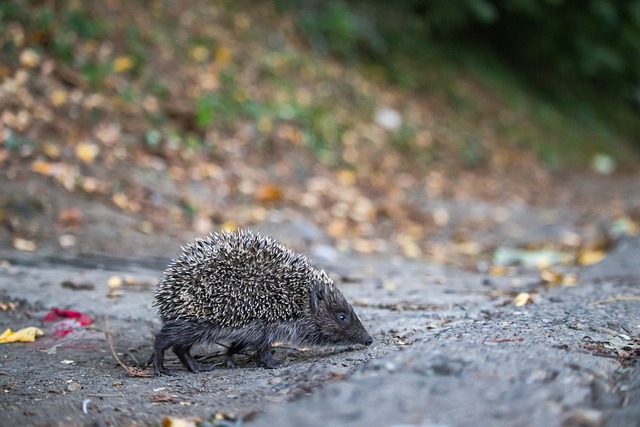 运动员之间 运动员之间