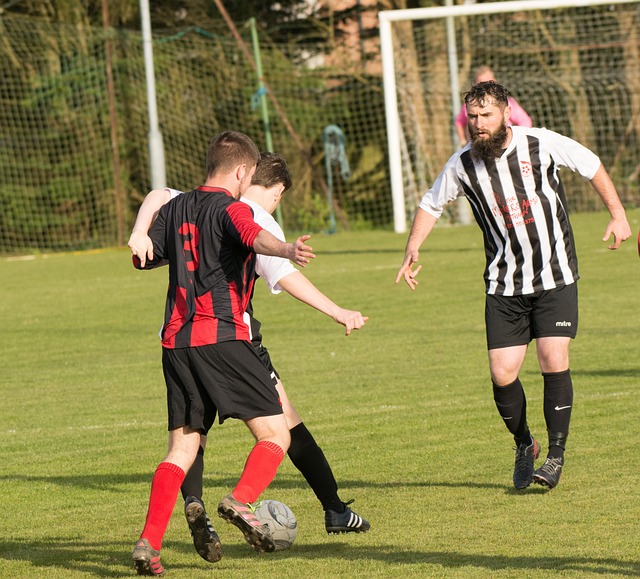 津琴科带来 津琴科带来