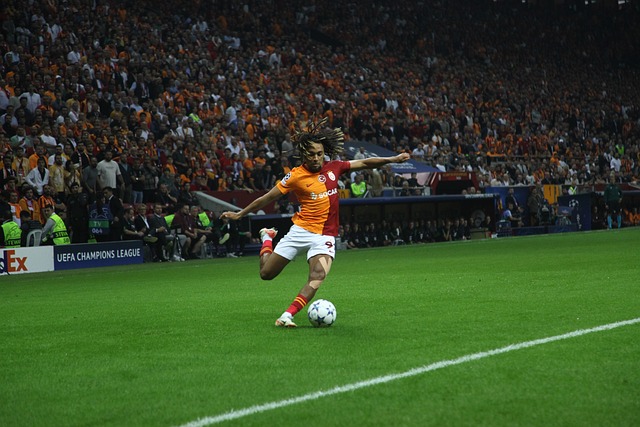 萄牙體育的 萄牙體育的