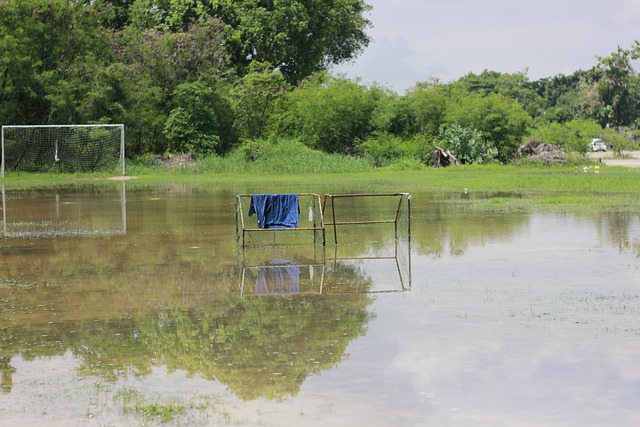 这些才华横 这些才华横